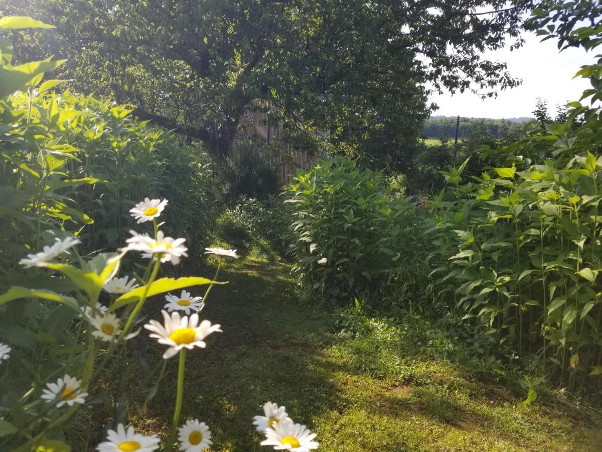 Saint-Julien-le-Petit Le Petit Paradis, Mini Maison,Nature,Confort,Calme מראה חיצוני תמונה