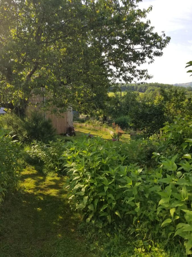 Saint-Julien-le-Petit Le Petit Paradis, Mini Maison,Nature,Confort,Calme מראה חיצוני תמונה
