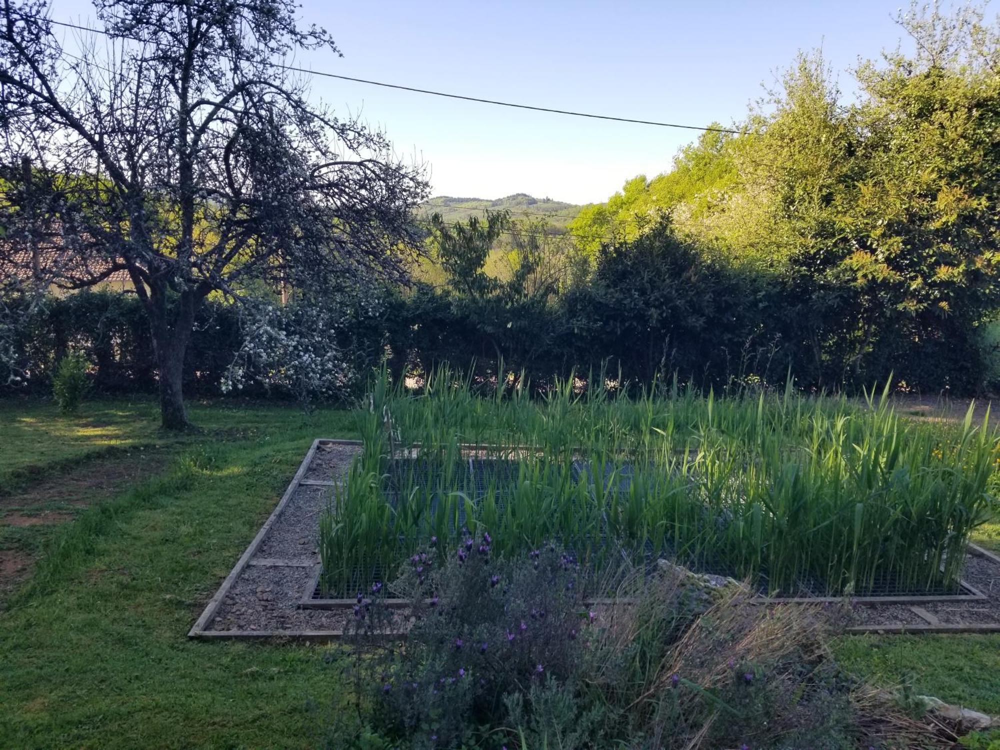 Saint-Julien-le-Petit Le Petit Paradis, Mini Maison,Nature,Confort,Calme מראה חיצוני תמונה